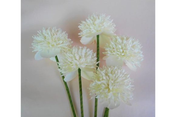 Carnation Poppy Paper Flower Templates: 3D SVG Design for Branding & Marketing